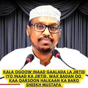 MICNAHA DHABTA AH EE AL-WALAA WAL-BARAA