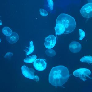 耍（prod by X-Peak）