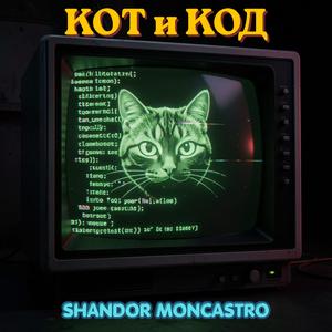 Кот и код