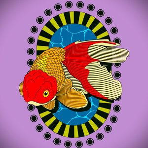 Electric Goldfish Cult