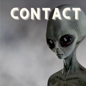 Contact (Version 2)