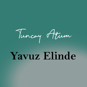 Yavuz Elinde