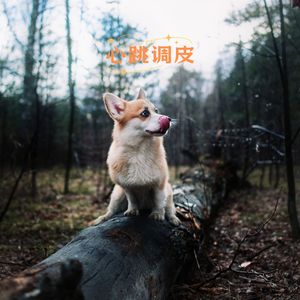 心跳调皮 (狗狗音乐)