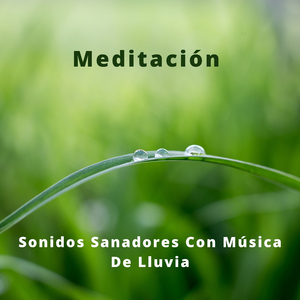 Música Del Denso Frío