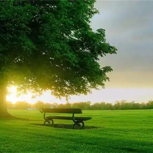 傻傻的爱傻傻等待