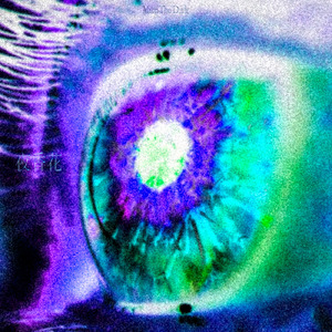 夜香花