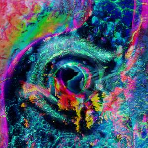 Human (feat. JUSTCHA) (whoisinnocent & eXcess Remix)