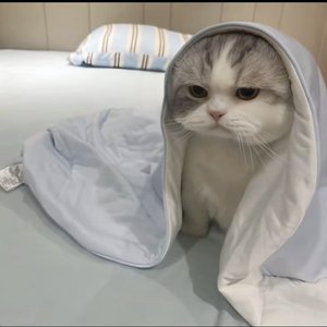 蓦然回首心动之人