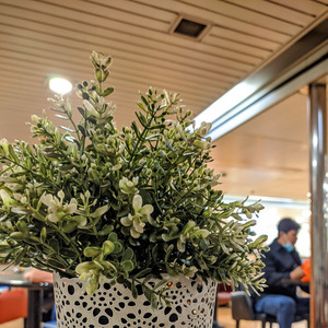 Berikanlah Aku Cinta (Acoustic)