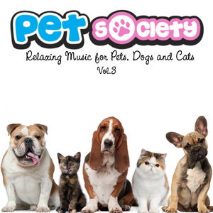 Pets