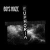 Boys Noize - Euphoria (Skream Remix)