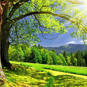 亿万光年的旅程