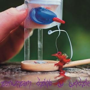 zanurzam dziob w wodzie