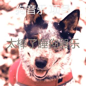 温和幼犬梦想