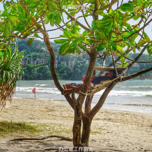 办公事务浪漫的爵士