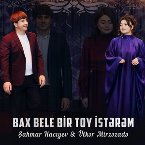 Bax Bele Bir Toy İstərəm