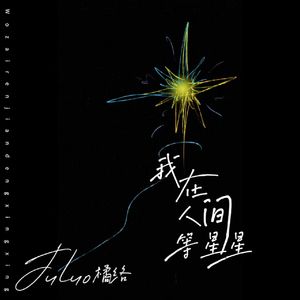 我在人间等星星（张万森版）