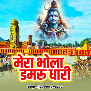 Mera Bhola Damrudhari