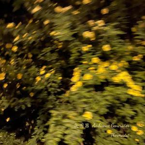 clementine (小蜜桔)