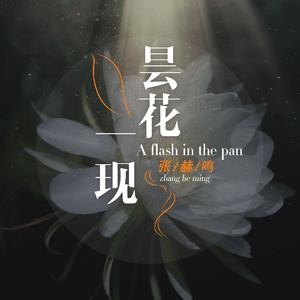 昙花一现