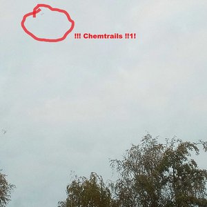 Absurditätenkabinett