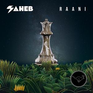 Raani (feat. cat.as.topic)