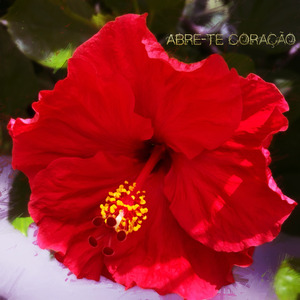 Abre-te Coração