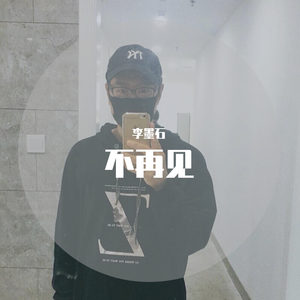 不再见