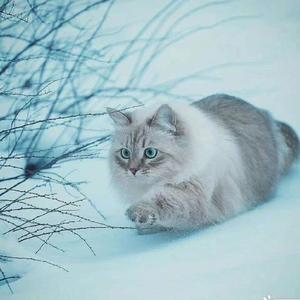 September调子はどうだい