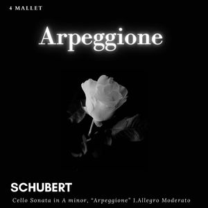 Schubert:Arpeggione Sonata – 1. Allegro moderato (Marimba Version)