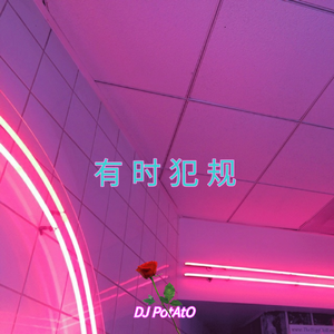 有 时 犯 规（DJ PotAtO Edit）