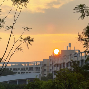 为什么要想起你