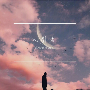 王俊凯-心引力(Remix)