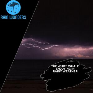 Stinging Insects & Frogs