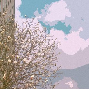 那位心仪的姑娘