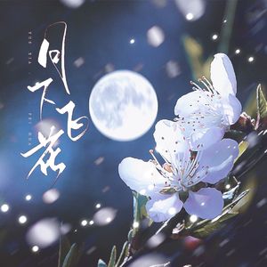 月下飞花
