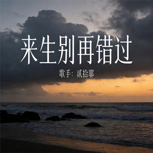 来生别再错过