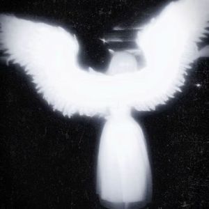 你走了我该去哪找你