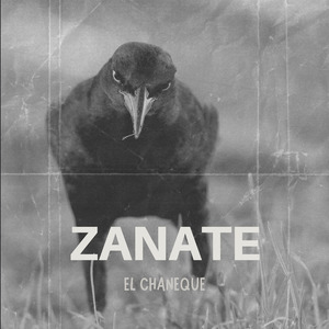 Zanate