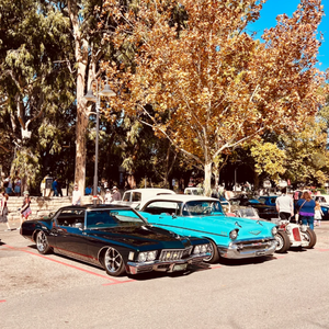 [Free] rod wave * chill * drake type