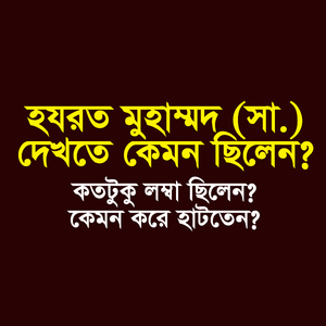 হযরত মুহাম্মদ (সা.) দেখতে কেমন ছিলেন কতটুকু লম্বা ছিলেন কেমন করে হাটতেন