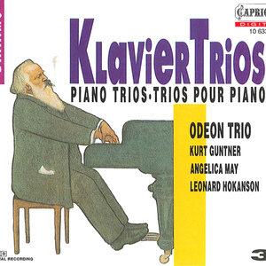 Trio in A Minor, Op. 114:I. Allegro