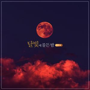 달빛에 물든 밤