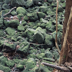 정원 (feat. 손성제)