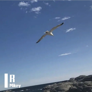 漂流瓶日记
