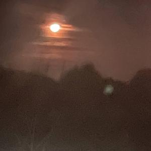 LUHDATSH!T (feat. 92!kris)