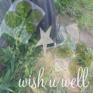 wish u well
