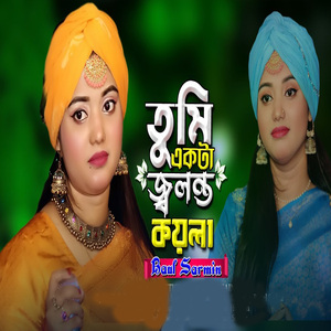 তুই একটা জ্বলন্ত কয়লা