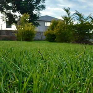 Mwanangu