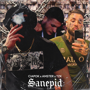 Sanepid